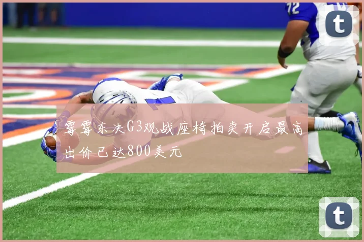 霉霉东决G3观战座椅拍卖开启最高出价已达800美元